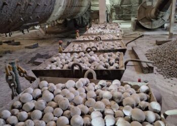 Түлкібасқа тағылымды сапар