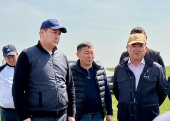 ШҰҒЫЛ ШТАБТЫҢ ТӘУЛІК БОЙҒЫ ЖҰМЫСЫ: ТҮРКІСТАН ОБЛЫСЫ ШЕГІРТКЕГЕ ҚАРСЫ ЖОЮ ЖҰМЫСТАРЫН ЖҮРГІЗУДЕ