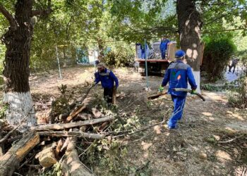 ШЫМКЕНТТЕ КЕҢ АУҚЫМДЫ СЕНБІЛІК ӨТТІ