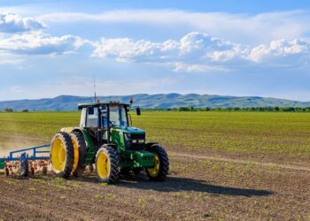 ТҮРКІСТАН ОБЛЫСЫНДА БИЫЛ 1 МЫҢ ГЕКТАРҒА ЖУЫҚ ЖЕРГЕ ЕГІН ЕГІЛЕДІ