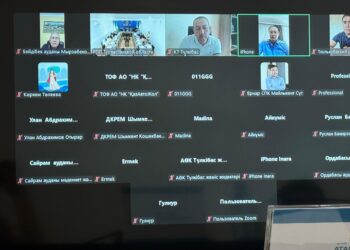 Түлкібас кәсіпкерлерін алаңдатқан басты мәселелер: газ тапшылығы, субсидиялау, инфрақұрылым      