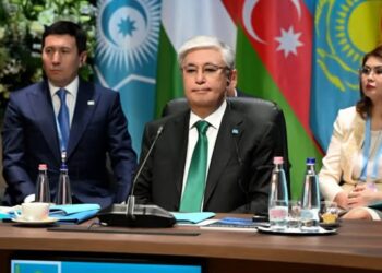 Президент Түркі мемлекеттері ұйымының бейресми саммитіне қатысты