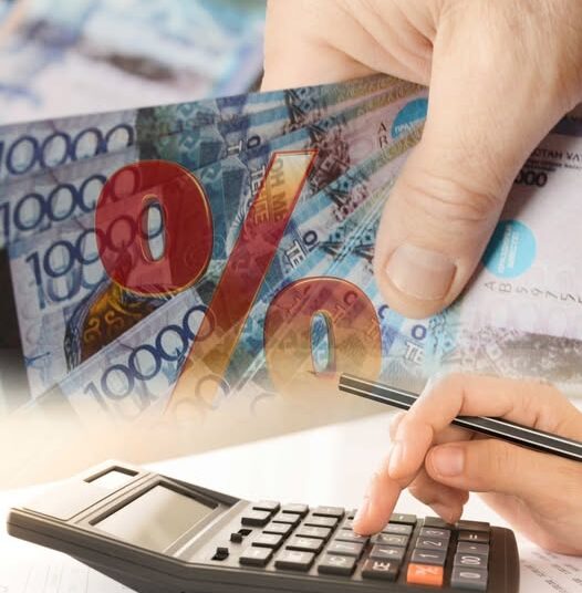 ШОБ субъектілерін жеңілдікпен қаржыландырудың жаңа бағдарламасы әзірленуде