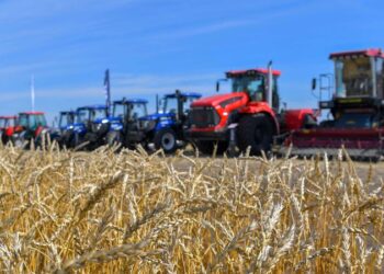 ТҮРКІСТАН ОБЛЫСЫНДА ҰЛТТЫҚ АУЫЛ ШАРУАШЫЛЫҒЫ САНАҒЫ ӨТЕДІ