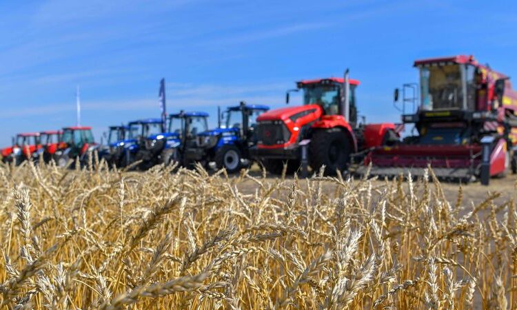 ТҮРКІСТАН ОБЛЫСЫНДА ҰЛТТЫҚ АУЫЛ ШАРУАШЫЛЫҒЫ САНАҒЫ ӨТЕДІ