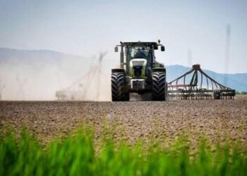 2025 жылғы көктемгі егіске 6 100-ден астам ауыл шаруашылығы өндірушісі жеңілдетілген қаржыландыру алды