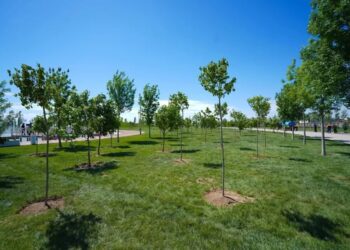 ТҮРКІСТАН: КӨГАЛДАНДЫРУ САЛАСЫНДАҒЫ МӘСЕЛЕЛЕР ТАЛҚЫЛАНЫП, ТИІСТІ ТАПСЫРМАЛАР БЕРІЛДІ