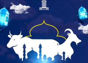 ШЫМКЕНТТЕ МАЛ СОЙЫЛАТЫН ОРЫНДАР АНЫҚТАЛДЫ