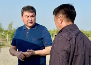 ТҮРКІСТАНДЫ КӨГАЛДАНДЫРУ БАҒЫТЫНДАҒЫ ЖҰМЫСТАР ЖАНДАНА ТҮСТІ