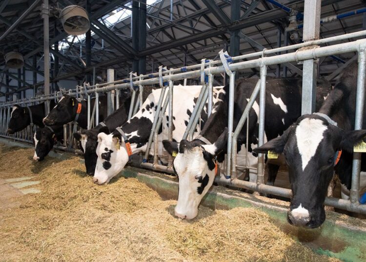 АРЫСТА БИЫЛ 26 АУҚЫМДЫ ИНВЕСТИЦИЯЛЫҚ ЖОБА ЖҮЗЕГЕ АСЫРЫЛАДЫ