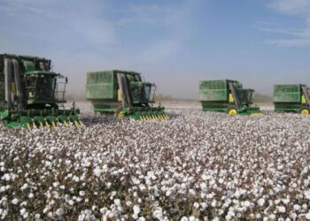 ОТЫРАР АУДАНЫНДА ТӘУЛІГІНЕ 120 ТОННА МАҚТА ӨҢДЕЙТІН ЗАУЫТ ІСКЕ ҚОСЫЛАДЫ