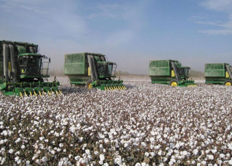 ОТЫРАР АУДАНЫНДА ТӘУЛІГІНЕ 120 ТОННА МАҚТА ӨҢДЕЙТІН ЗАУЫТ ІСКЕ ҚОСЫЛАДЫ