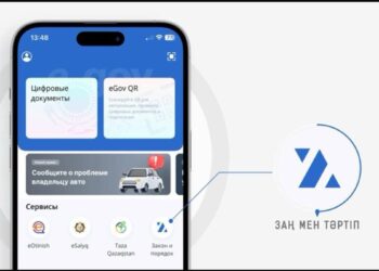 В Казахстане запустили новый цифровой сервис «Закон и Порядок»