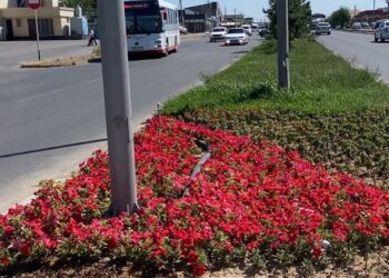 ТҰРҒЫНДАР ИГІЛІГІ ҮШІН ЖАСАЛЫП ЖАТҚАН ЖҰМЫСТАР ЖАЛҒАСУДА