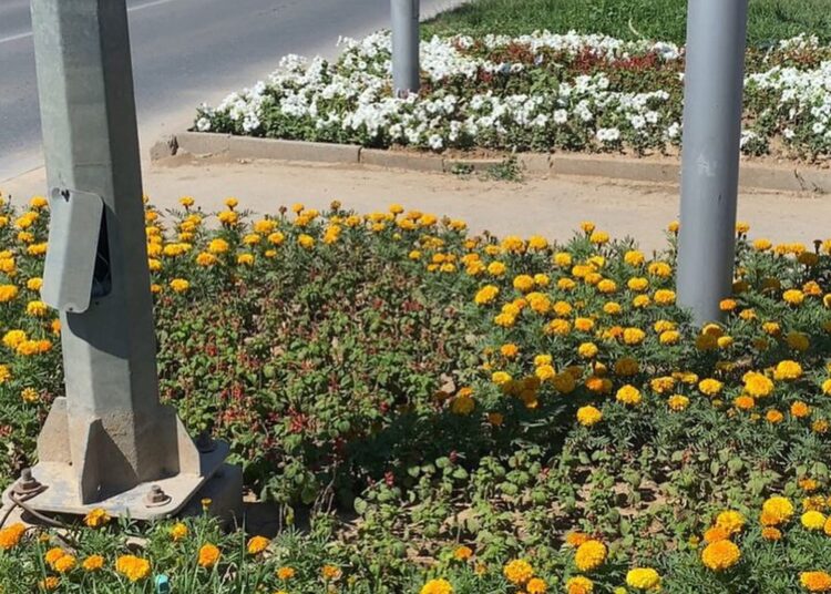 Абай ауданындағы тұрғындардың өмір сүру сапасын арттыруға бағытталған жүйелі жұмыстар