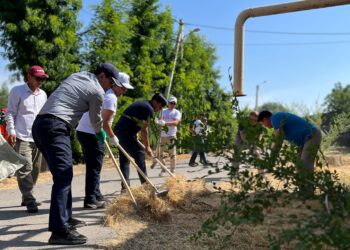 Абай ауданы: Инфрақұрылымды дамыту және тұрғындардың өмір сапасын жақсарту бағытындағы нақты істер