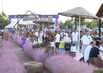 ҚАРАТАЙДЫҢ ГҮЛДІ ӨРІСІ – САУРАНҒА СЕРПІН БЕРЕДІ