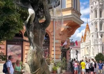 ВЕНГРИЯДА ШЫМКЕНТ ҚАЛАСЫНЫҢ ТУРИСТІК МҮМКІНДІКТЕРІ КЕҢІНЕН ТАНЫСТЫРЫЛДЫ