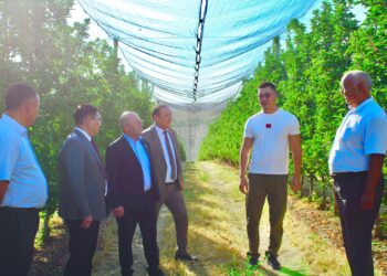 ҚАЗЫҒҰРТ АУДАНЫНДА КӘСІПКЕРЛІК САЛАСЫ ҚАРҚЫНДЫ ДАМЫП КЕЛЕДІ