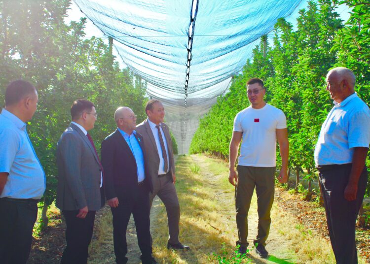 ҚАЗЫҒҰРТ АУДАНЫНДА КӘСІПКЕРЛІК САЛАСЫ ҚАРҚЫНДЫ ДАМЫП КЕЛЕДІ