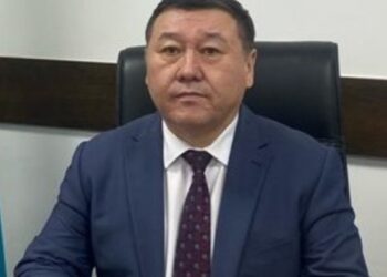 Мемлекеттік қызметтегі мүдделер қақтығысын реттеу мәселелері   