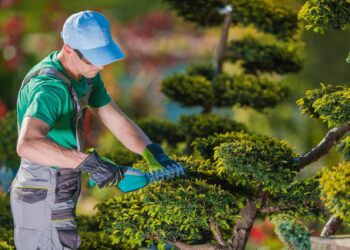 Абай ауданында кәсіпкерлік нысандарды көріктендіру және аббаттандыру жұмыстары жүргізілуде