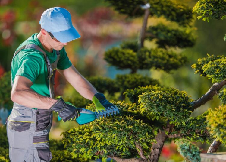 Абай ауданында кәсіпкерлік нысандарды көріктендіру және аббаттандыру жұмыстары жүргізілуде