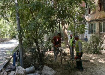 ШЫМКЕНТ: «ТАЗА ҚАЗАҚСТАН» ЭКОЛОГИЯЛЫҚ АКЦИЯСЫ АЯСЫНДАҒЫ КЕЗЕКТІ ТАЗАЛЫҚ ІС-ШАРАСЫ ӨТТІ