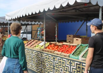 Астанада Түркістан облысының ауыл шаруашылығы өнімдері жәрмеңкесі өтіп жатыр