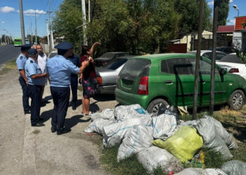 Абай ауданында санитарлық тәртіп пен экологиялық мәдениет бақылауға алынды