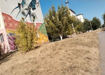 ШЫМКЕНТ: «ТАЗА ҚАЗАҚСТАН» ЭКОЛОГИЯЛЫҚ АКЦИЯСЫ АЯСЫНДА КЕЗЕКТІ СЕНБІЛІК ӨТТІ