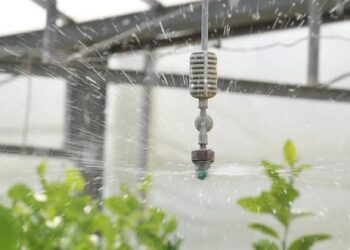 ТҮРКІСТАН ОБЛЫСЫНДА 59 МЫҢ ГЕКТАР АЛҚАПҚА СУ ҮНЕМДЕУ ТЕХНОЛОГИЯЛАРЫ ЕНДІРІЛДІ