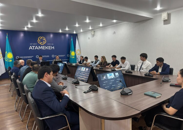 Түркістан облысында Мәжіліс депутаты кәсіпкерлермен кездесті