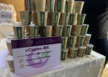 Түркістанда «Бір ауыл – бір өнім» көрмесі өтті