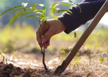 «Таза Қазақстан тұжырымдамасы аясындағы Абай ауданындағы өзгерістер»