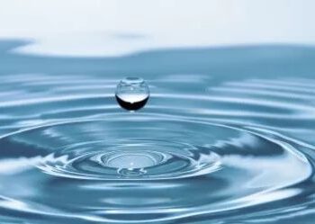 Инициатива о Центре изучения водных проблем ШОС: что стоит за предложением Казахстана