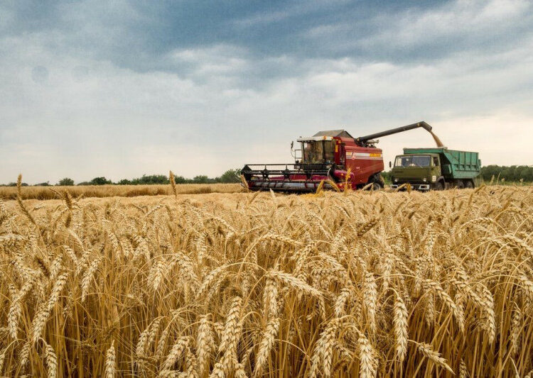 УБОРКУ ЗЕРНОВЫХ ЗАВЕРШИЛИ АГРАРИИ ШЫМКЕНТА