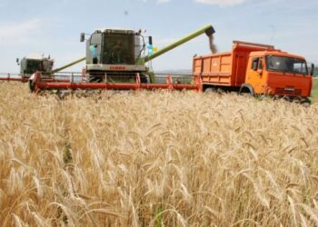 Ауыл шаруашылығының жалпы өнім көлемі 3,4%-ға өсіп, 3,6 трлн теңгеге жетті