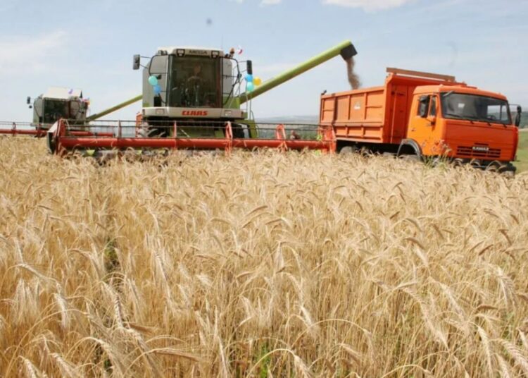 Ауыл шаруашылығының жалпы өнім көлемі 3,4%-ға өсіп, 3,6 трлн теңгеге жетті