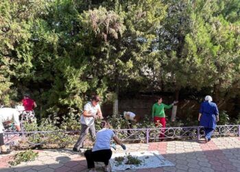 В Шымкенте общегородской субботник «Чистый город» прошёл на высоком уровне