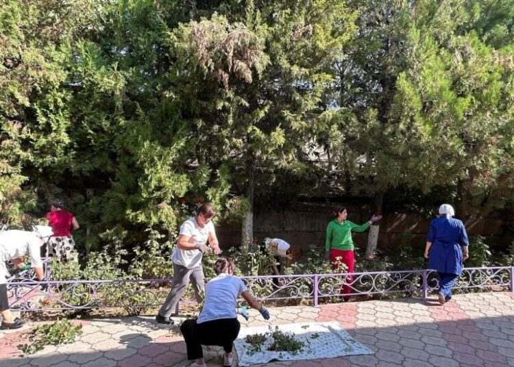 В Шымкенте общегородской субботник «Чистый город» прошёл на высоком уровне