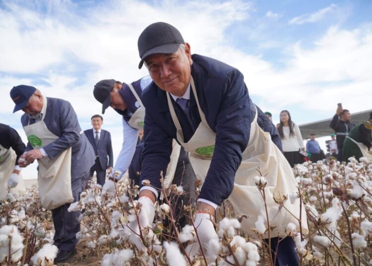 Түркістан облысында ауқымды «AQ-DALA» мақташылар фестивалі өтті