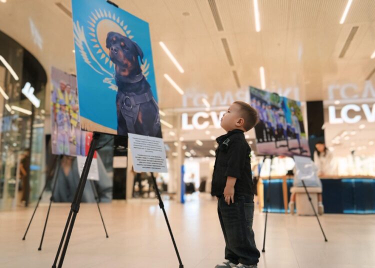 «Закон и Порядок»: уникальная фотовыставка прошла в Шымкенте