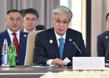 МЕМЛЕКЕТ БАСШЫСЫ: ҚАЗАҚСТАН «ТҮРКІ МЕМЛЕКЕТТЕРІ ҰЙЫМЫ+» ФОРМАТЫН ҚҰРУ ИДЕЯСЫН ҚОЛДАЙДЫ