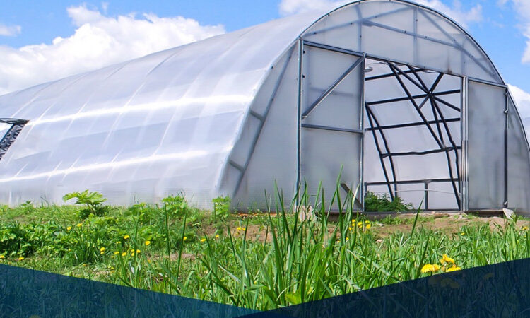 ИНВЕСТИЦИОННЫЙ ПРОЕКТ: В ШЫМКЕНТЕ СТРОИТСЯ КРУПНЕЙШИЙ В ЦЕНТРАЛЬНОЙ АЗИИ ТЕПЛИЧНЫЙ КОМПЛЕКС