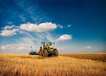 РАЗВИТИЕ СЕЛЬСКОГО ХОЗЯЙСТВА – ОСНОВНОЕ НАПРАВЛЕНИЕ ЭКОНОМИЧЕСКОГО РОСТА