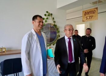 ЖАҢА КОНСТИТУЦИЯ: ҰЛТ САУЛЫҒЫ – ҰЛЫ БАЙЛЫҚ