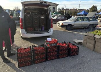 ТҮРКІСТАН ОБЛЫСЫНДА РЕФЕРЕНДУМ КҮНІ АЗЫҚ-ТҮЛІК ЖӘРМЕҢКЕСІ ҰЙЫМДАСТЫРЫЛДЫ