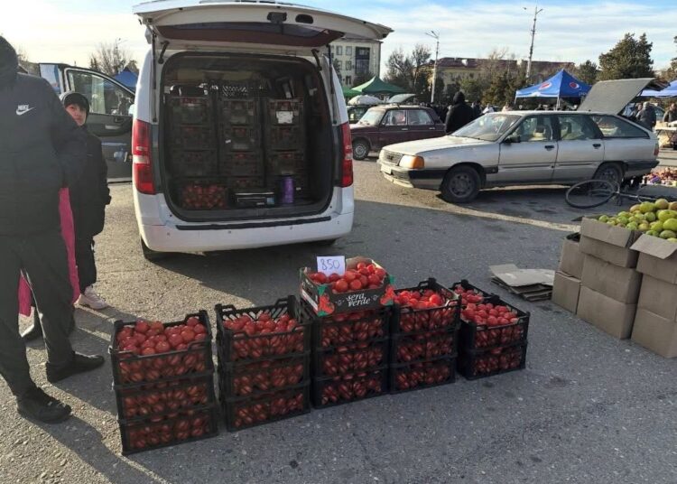 ТҮРКІСТАН ОБЛЫСЫНДА РЕФЕРЕНДУМ КҮНІ АЗЫҚ-ТҮЛІК ЖӘРМЕҢКЕСІ ҰЙЫМДАСТЫРЫЛДЫ