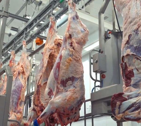 «НӘРЛЕН» 17 ЖЫЛ НАРЫҚТА   